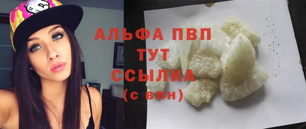 дмт Богданович