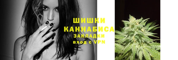 дмт Богданович