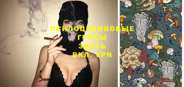 дмт Богданович