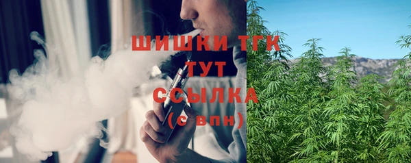 мдпв Богородск