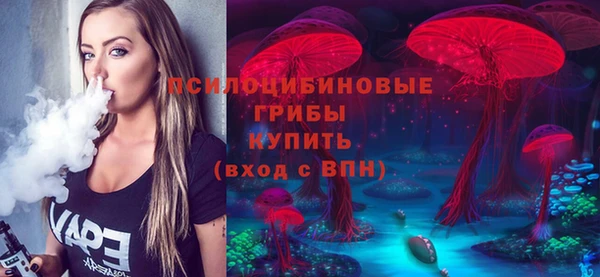 герыч Бронницы