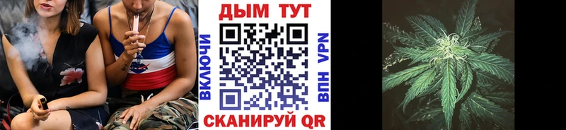 Бошки Шишки конопля  Дагестанские Огни 
